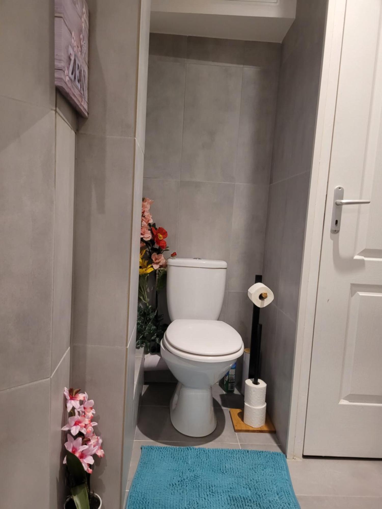 Cocooning House 211 Suite Azur Appartement Aeroport Paris Roissy Cdg, Parc Asterix, Chateau De Chantilly, Stade De France Survilliers Buitenkant foto